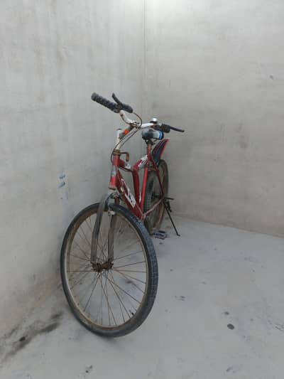 bycycle for teenagers