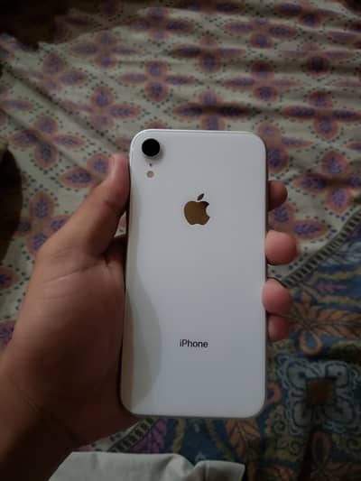 iPhone XR