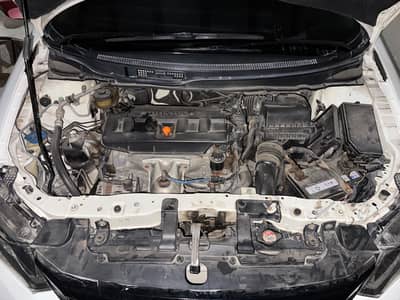 Honda rebirth total genuine white colur