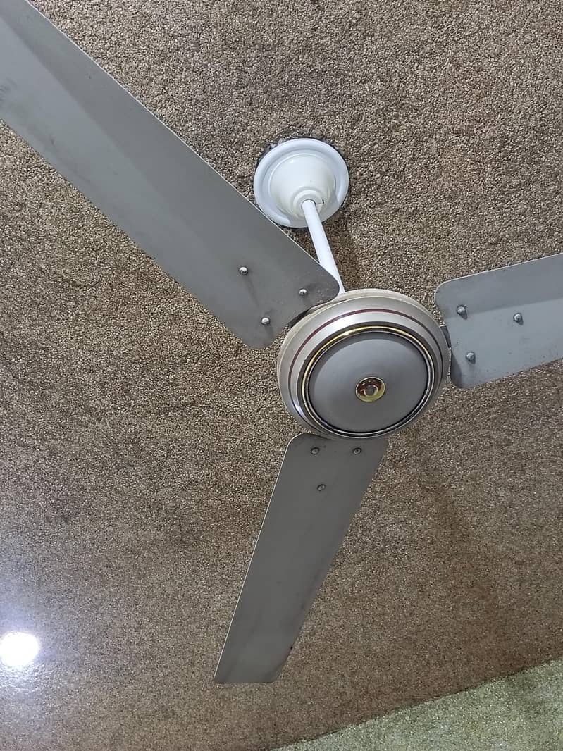ceiling fan 1