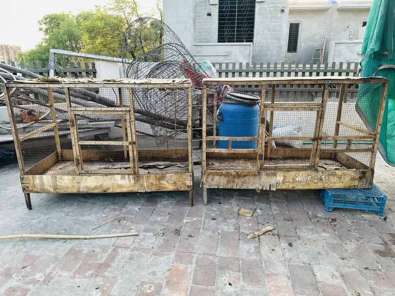 2 big lakri cages wooden pinjaray big size