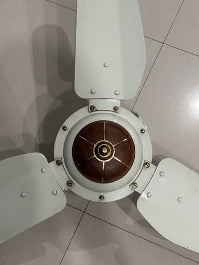 Selling fan