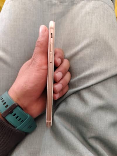 Apple Iphone 8 available