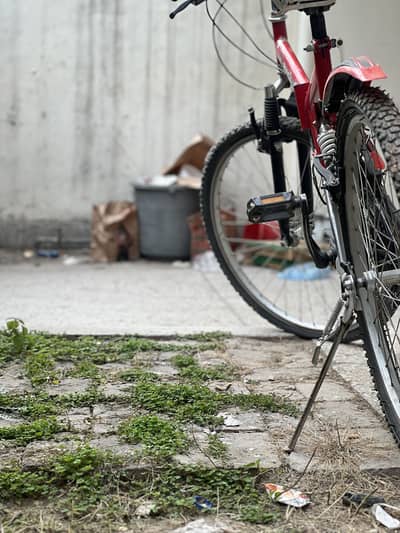 Raychell Folding bicycle (Imported)