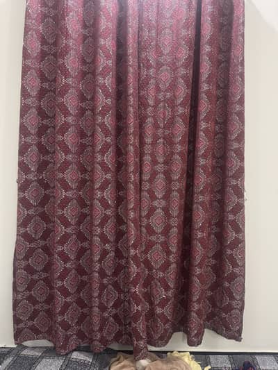 10 pcs of curtains