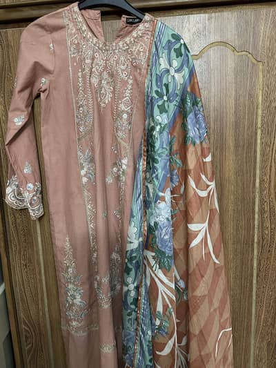 “Limelight 2-Piece Tea Pink Dress – Embroidered, Worn Once”