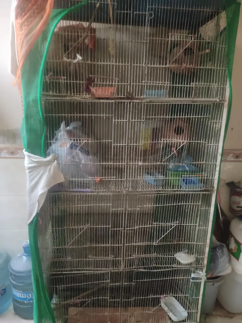 cage for sold — photo 3