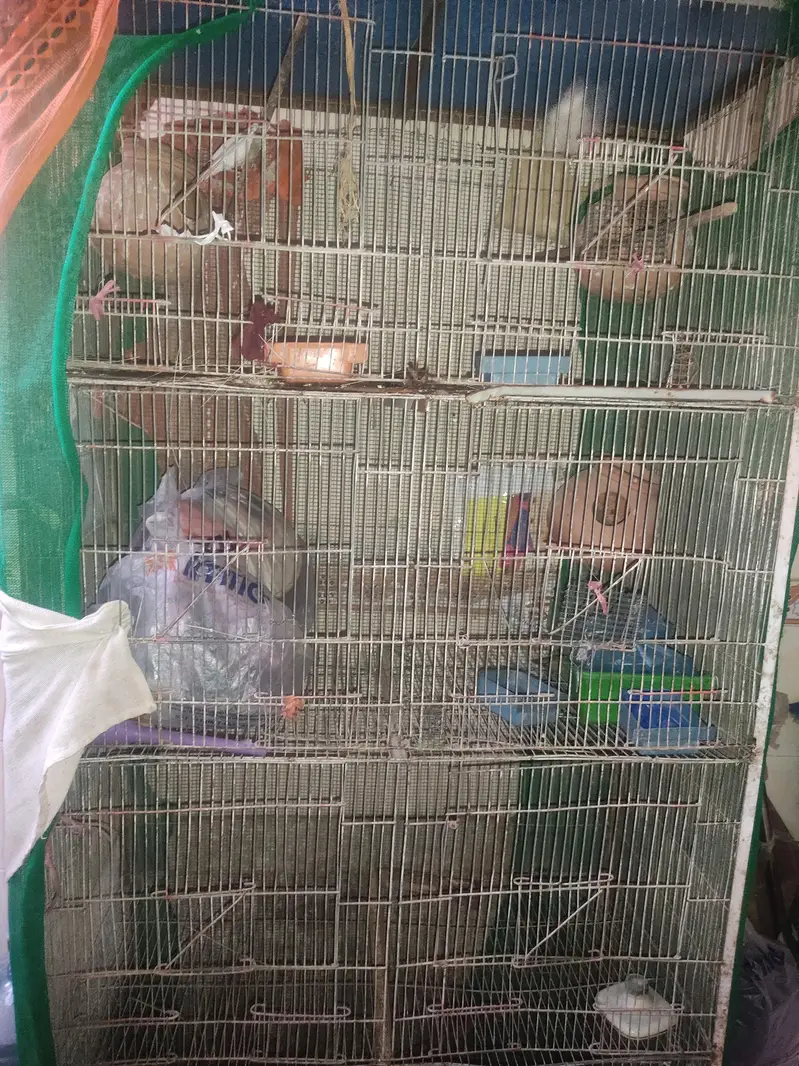 cage for sold — photo 4