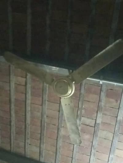 celling fan for sale