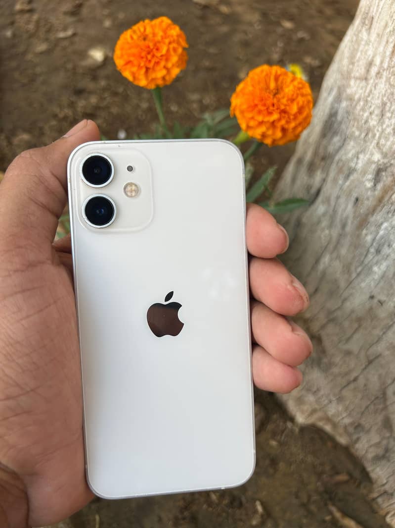 iPhone 12 mini 2