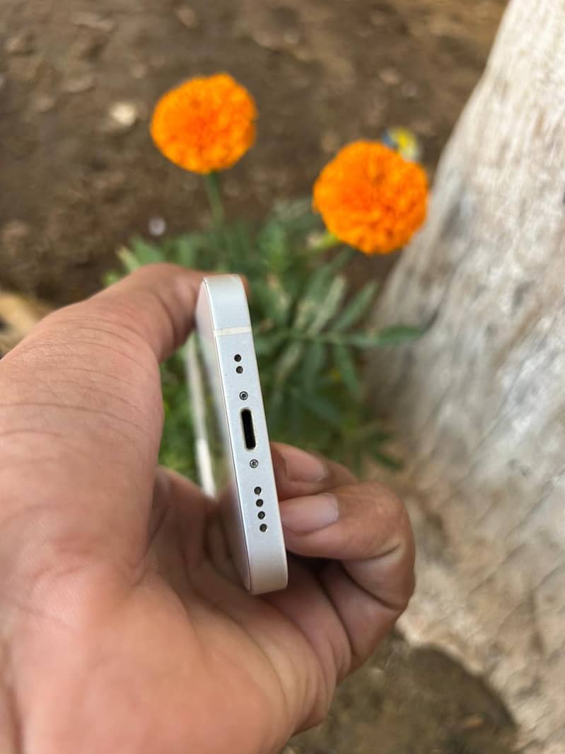 iPhone 12 mini 3