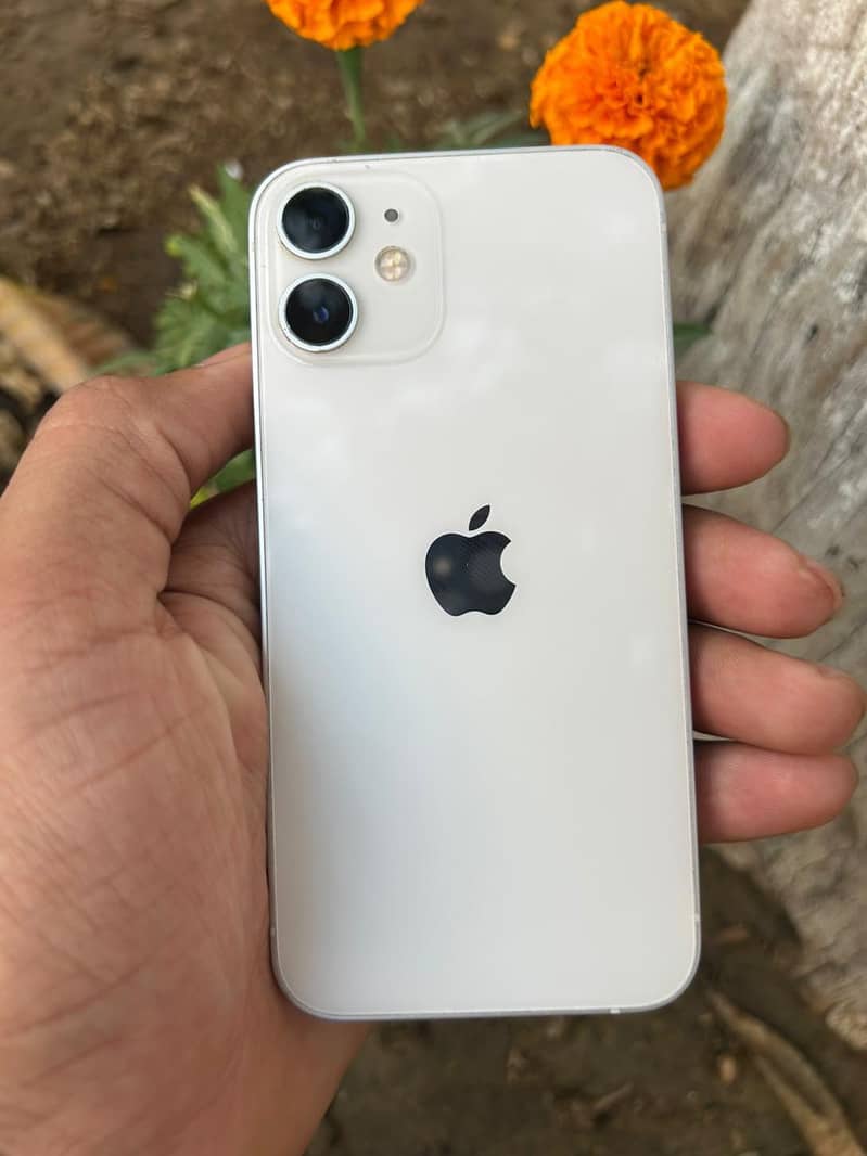 iPhone 12 mini 4