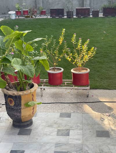 1 Kanal 4bed Ground Portion For Rent In Soan Garden