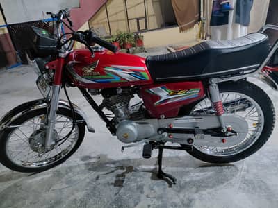 03135563801 WhatsApp numer