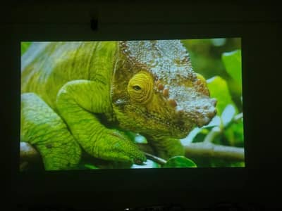 SANYO XGA PROJECTOR  300inch Display