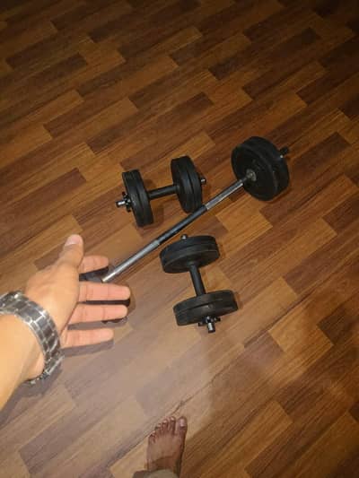 Customized dumbbles+Bicep home setup
