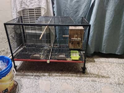 cage big size