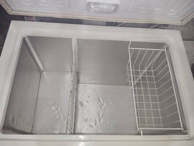 Pell single door freezer condition A1