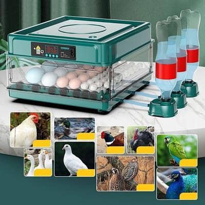 egg incubator