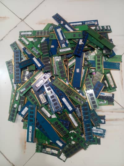 Dead. . Rams. . Buyer 03340301901