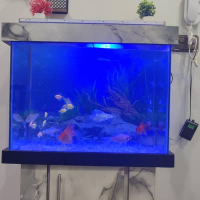 i am selling my fish aquarium