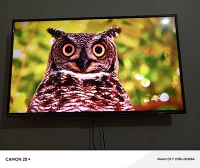 samsung smart led 55 inch