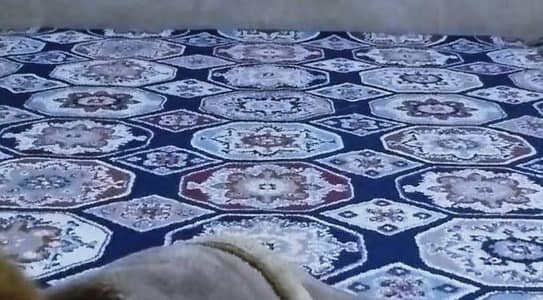 just like new carpet for sale