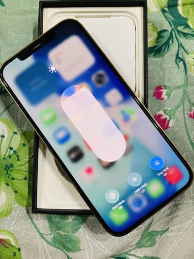 Apple Iphone 12 PRO MAX