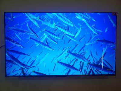 TCL 50C655 50” QLED 4K Google TV | In Warranty