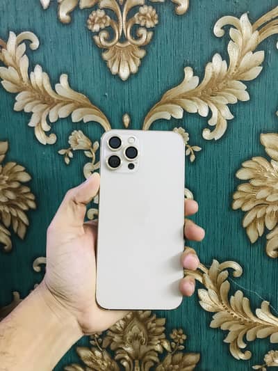 12 pro max dual pta 128gb