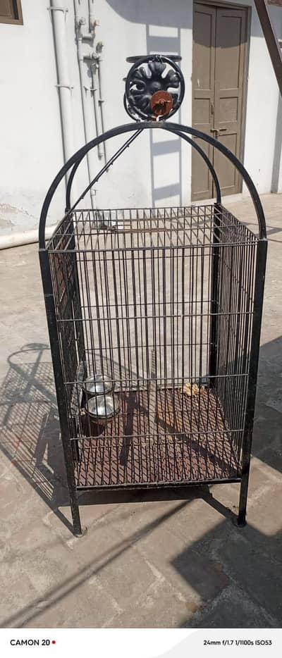 Cage for hand tame birds