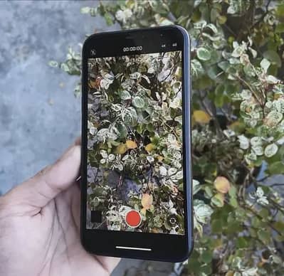 iPhone xr sim work but only for call 64 gb