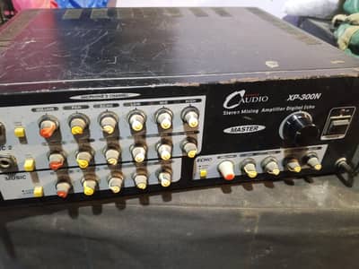 C. Audio Echo Amplifier