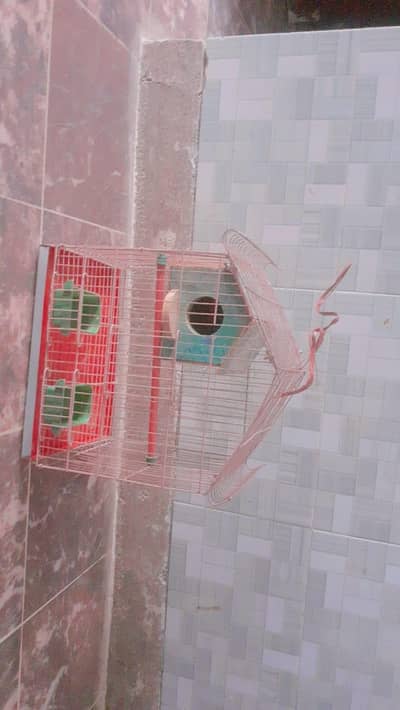 BIRDS CAGE