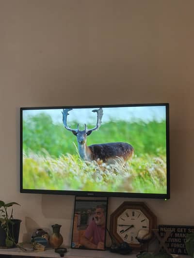 LCD TV For Sale