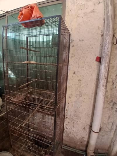 cage for sall 4 posion