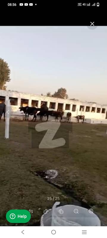 100kanal farm house for sale best investment