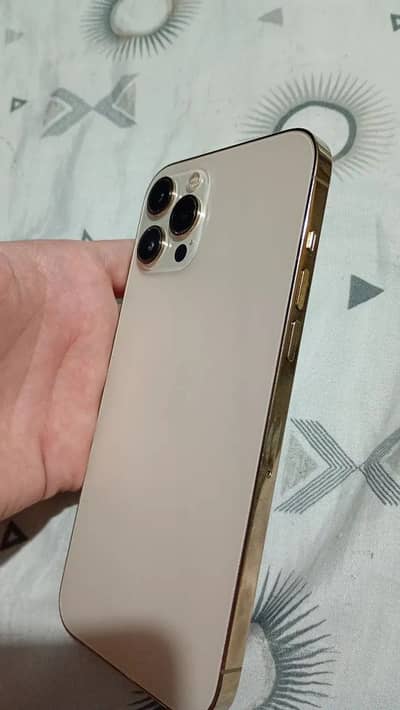 12 pro wax 256gb water pack