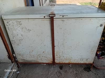 Pel 220v single door freezer