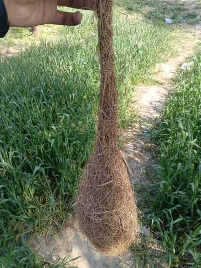 home decoration  and home for small birds