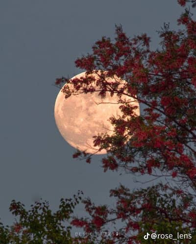 Online Quran Teacher