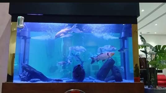 Fish Aquarium Service and maintenance