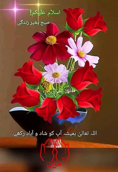 3.5 marla makan for sale 03025291637 price 8500000 lac