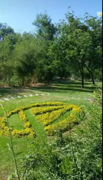 Investor Alert F7 Size 60100 666 Square Yead New House with Basement 6 Bedrooms with attached Bathroom Drawing and Dining TV Lounge Kitchen