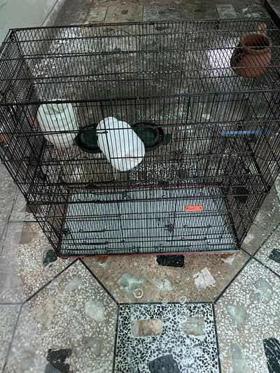 Good Condition Two Portions Cage for Birds
