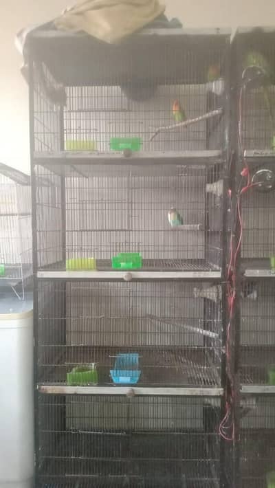 bird cage