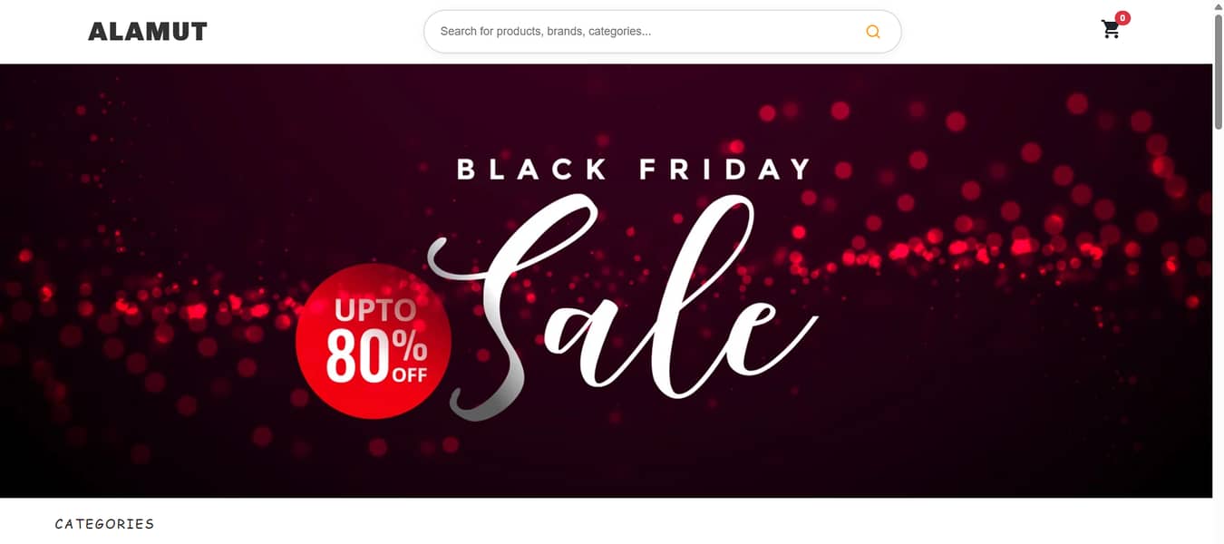 Professional Web Development Services 1