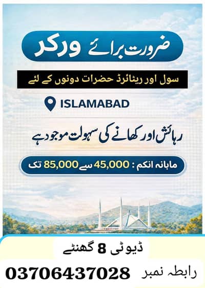 need a workers for different work