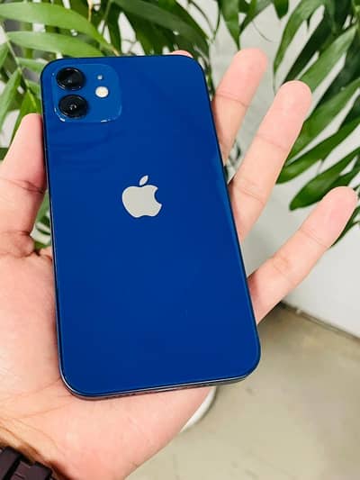 IPhone 12 - 256Gb - PTA Approved - Water-Pack