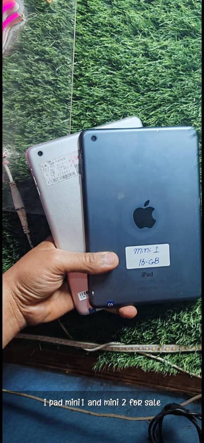 iPad mini 1 or iPad mini 2